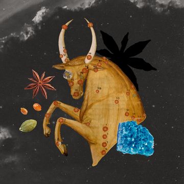a taurus bull surrounded by a gem and plants