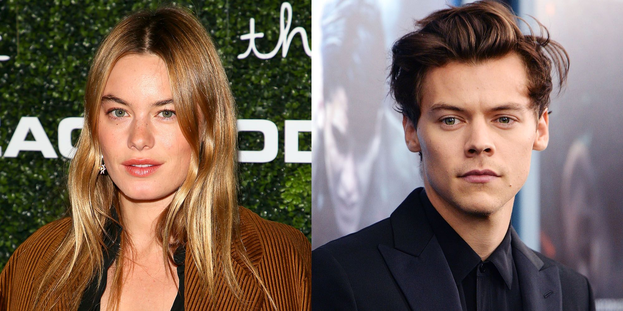 Harry Styles & Camille Rowe Split