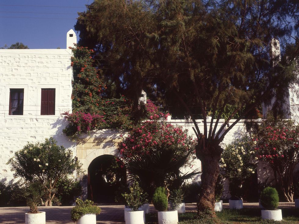 a white washed facaded with trees and potted shrubs