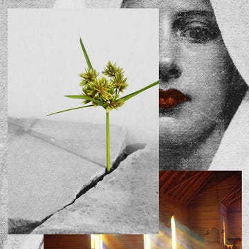 plant growing out of concrete, church lighting, and a womens face plant growing out of concrete, church lighting, and a womens face