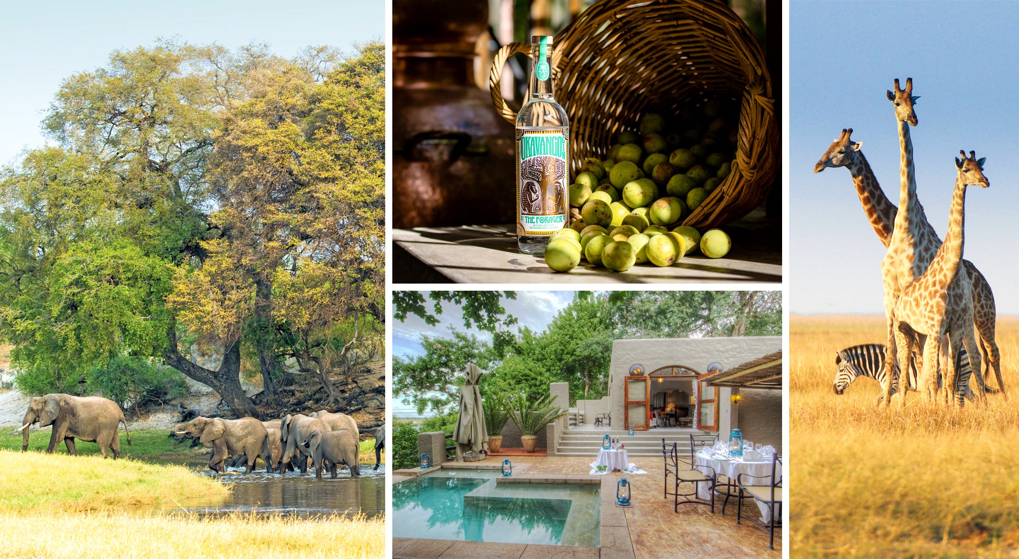 Renowned for its eco-tourism, the country has life-changing safaris and luxury resorts to boot.