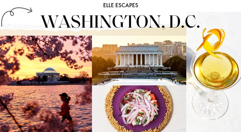 elle escapes washington, dc