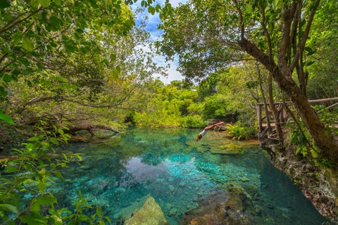 indigenous eyes ecological park reserve