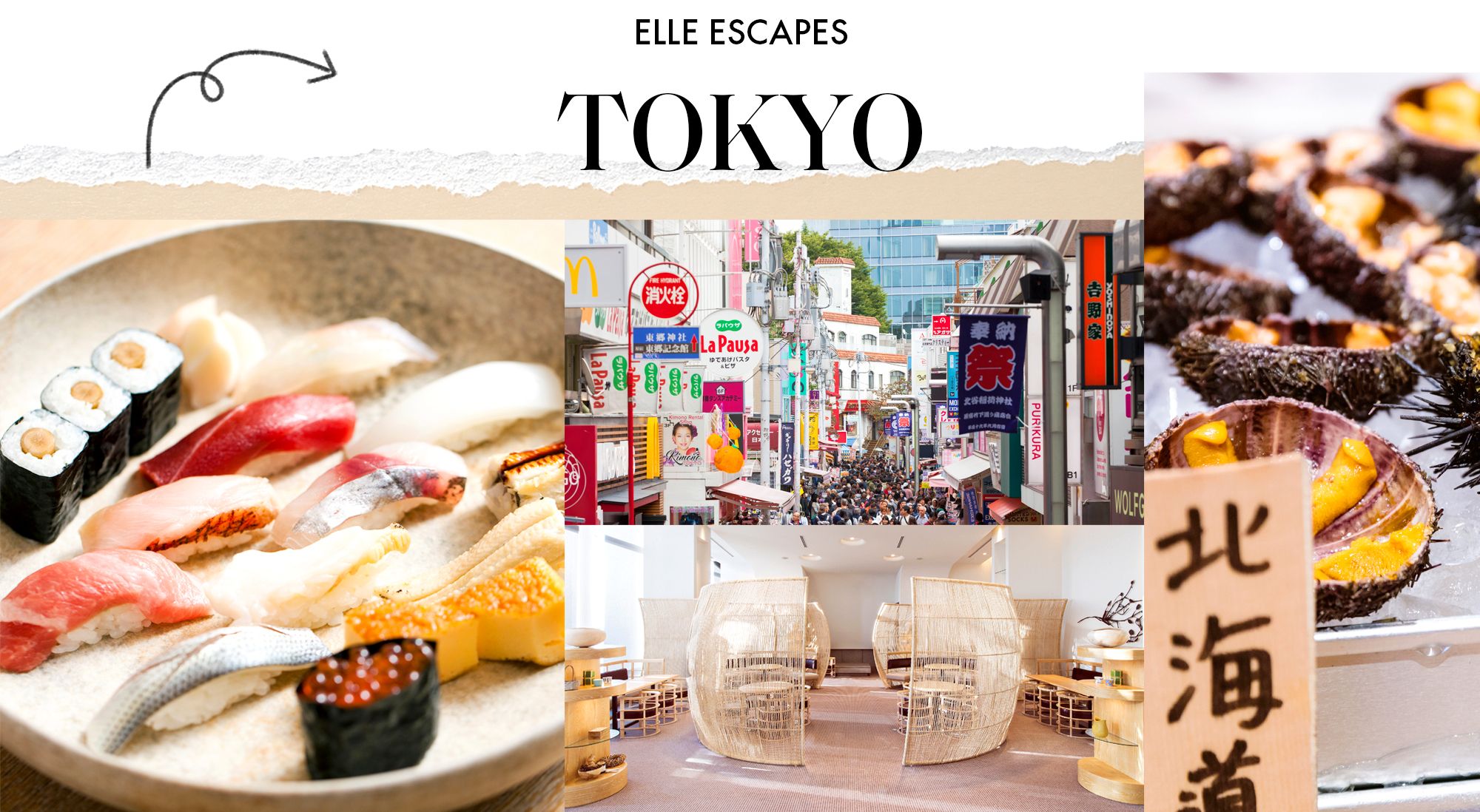 Tokyo, Japan: The Best Hotels, Restaurants, and Museums