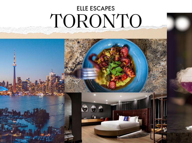 a collection of images including the skyline of toronto at nigh, a plate of octopus, a hotel bed, and a smoking purple cocktail