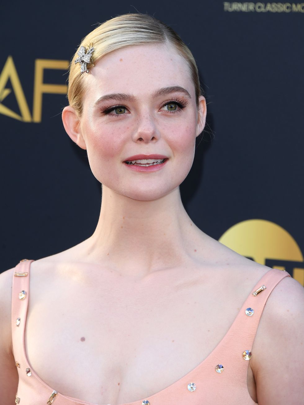 afi life achievement award ceremony honoring francis ford coppola