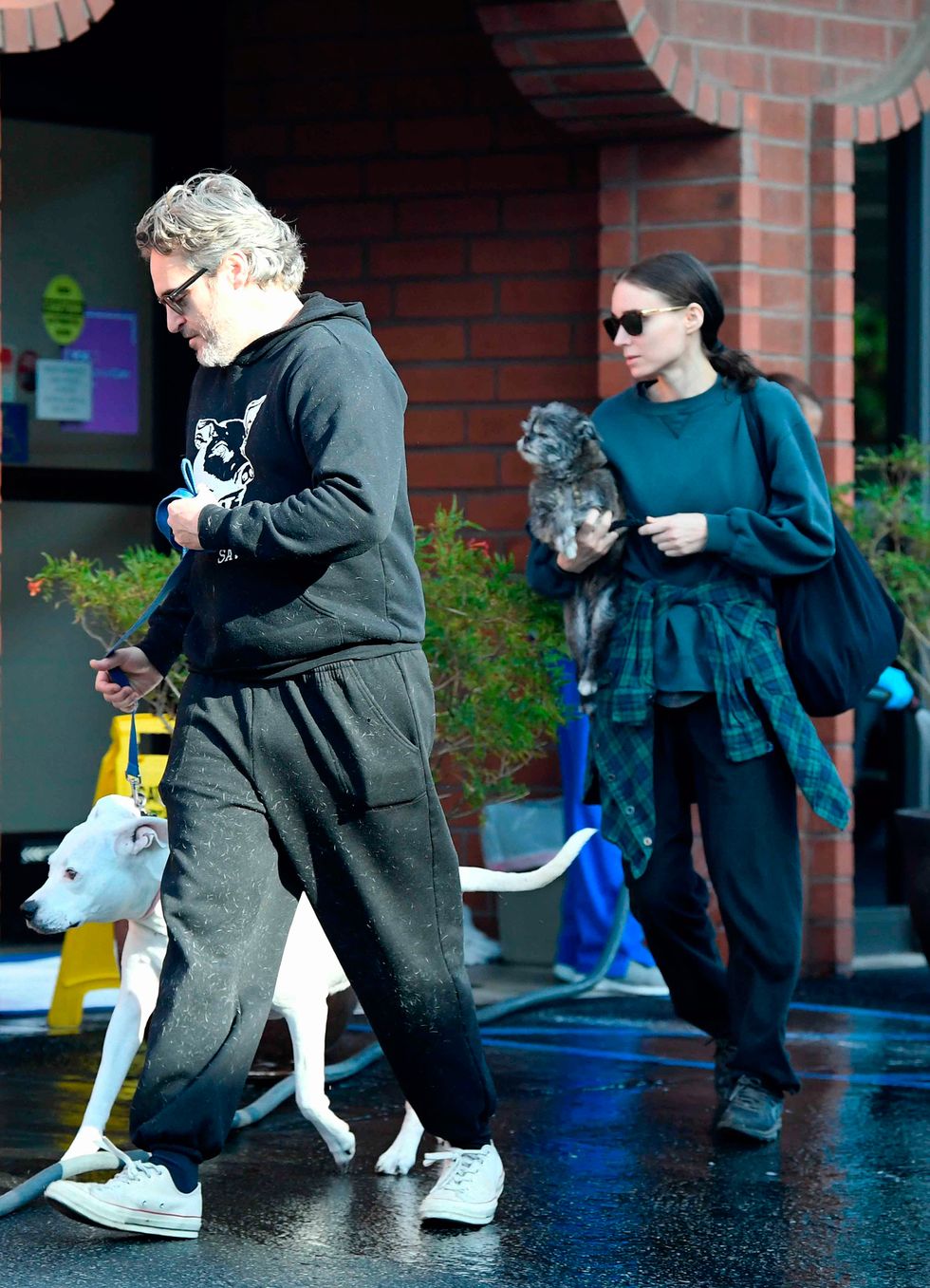Joaquin Phoenix y Rooney Mara perros mascotas