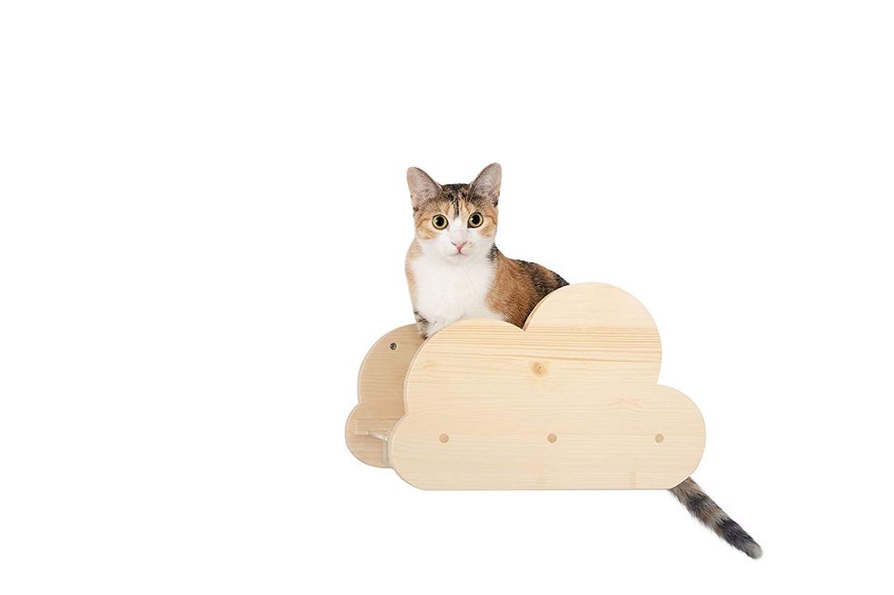 Las mejores 27 ideas de Patio de juegos para gatos  juegos para gatos,  casita para gatos, patio de juegos para gatos