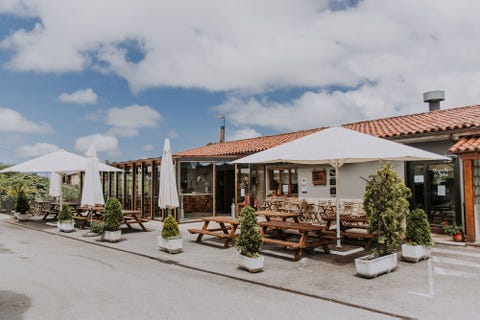 los mejores restaurantes de asturias para comer muy bien