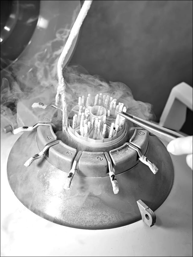 The sperm donor process in 2022 how to choose a sperm donor