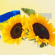 elle ukraine sunflowers