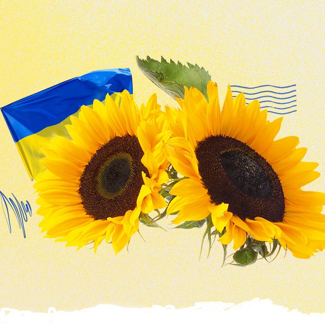 elle ukraine sunflowers