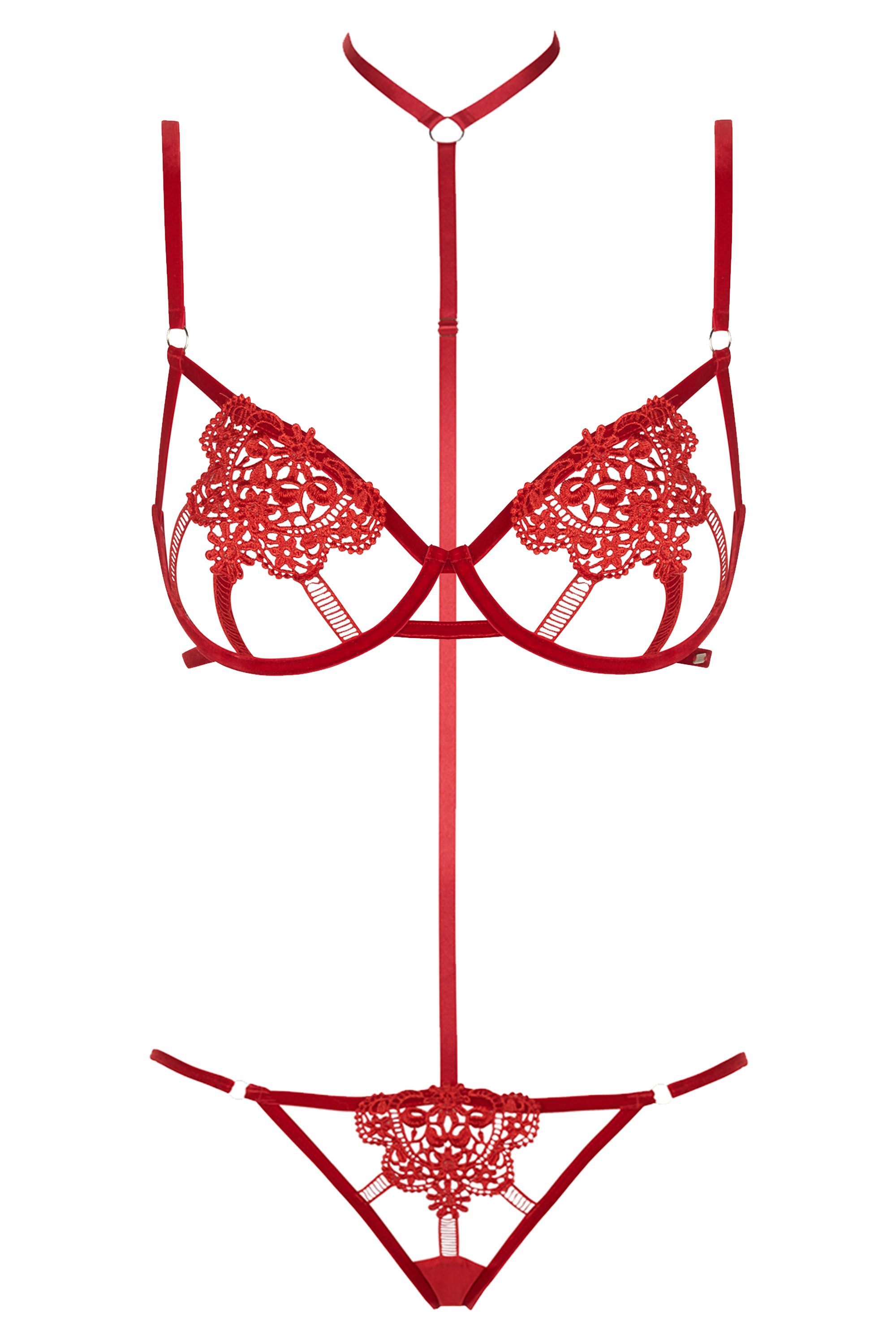 https://hips.hearstapps.com/hmg-prod/images/elle-valentines-day-lingerie-0018-pandora-harnessbrief-red-40222-im-01-1516808340.jpg