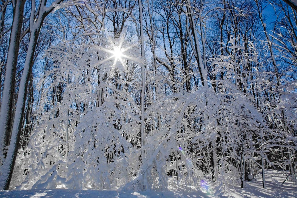 Ellicottville Ice ellicottville ice