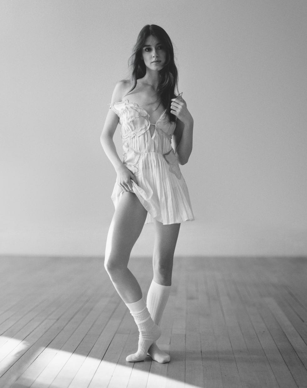 elm040125wldaisy-005-67ddac4220198.jpg?r
