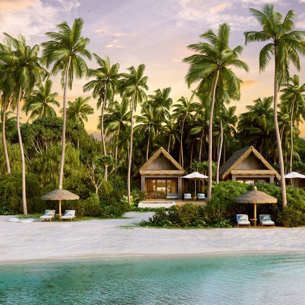 Tropics, Palm tree, Resort, Tree, Vacation, House, Caribbean, Arecales, Sky, Attalea speciosa, 