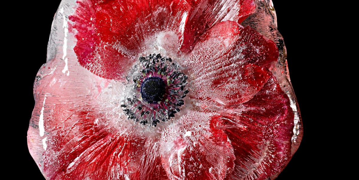 Can Your Own Blood Heal You? Science Says It Might