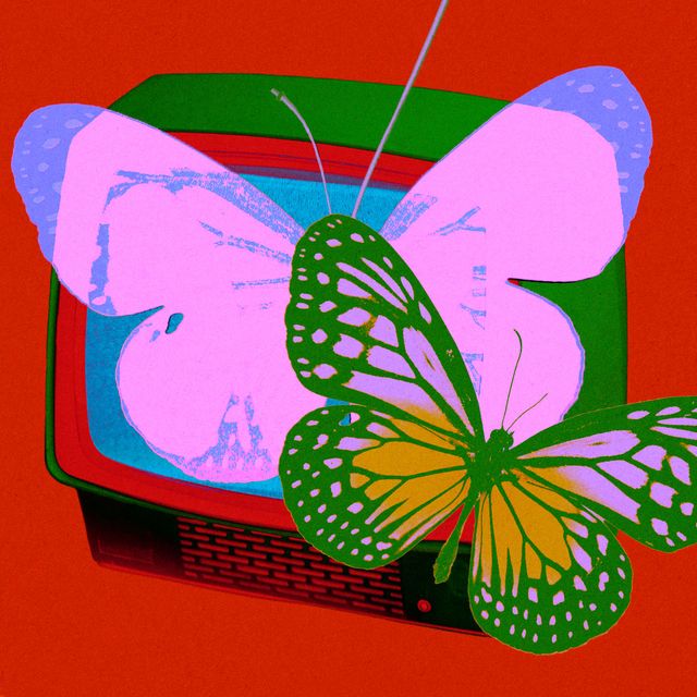 butterflies on a tv screen