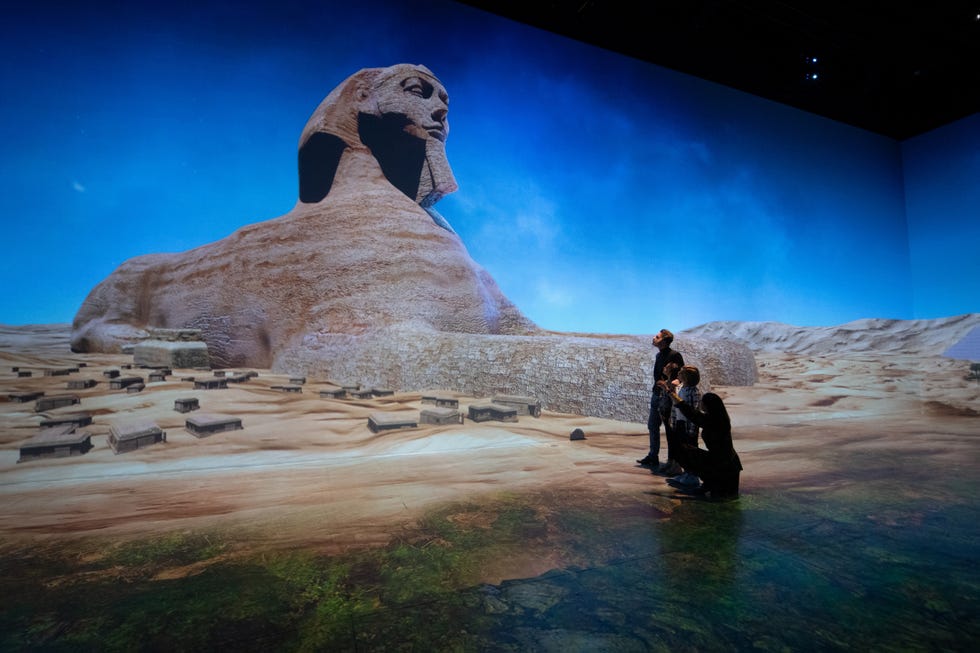 large scale image of the sphinx at a museum