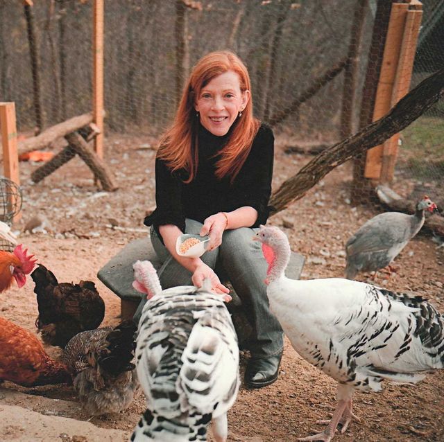 susan orlean tends to her chickens and turkeys