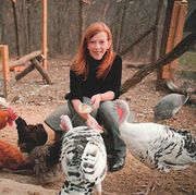 susan orlean tends to her chickens and turkeys