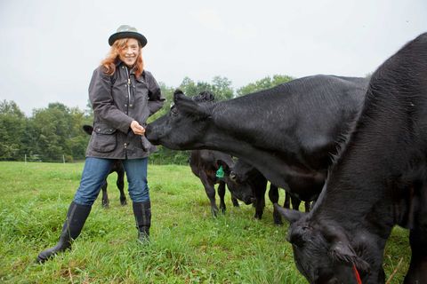 susan orlean feeds her cows on her upstate new york farm