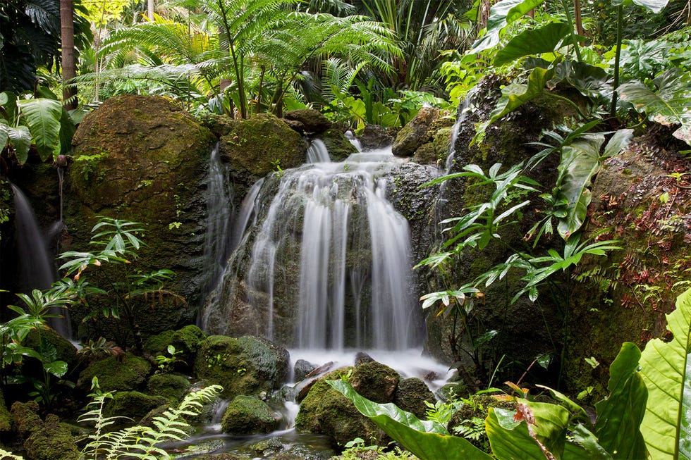 a waterfall in a forest