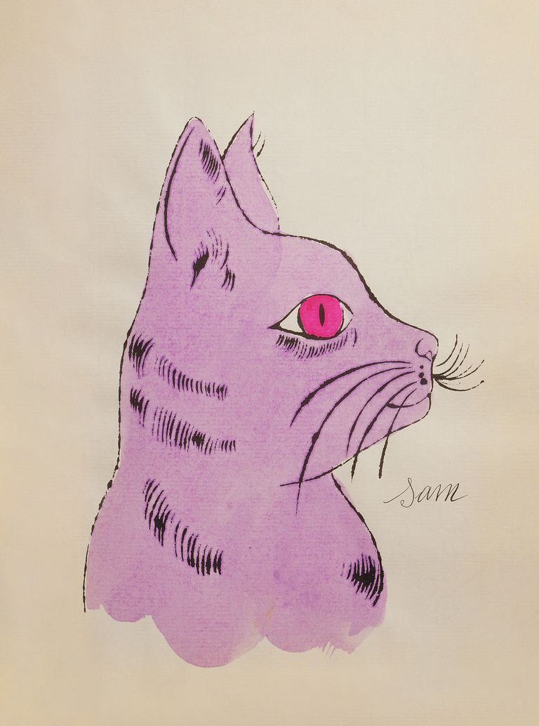 Pink, Illustration, Drawing, Whiskers, Sketch, Cat, Snout, Art, Felidae, Tail, 