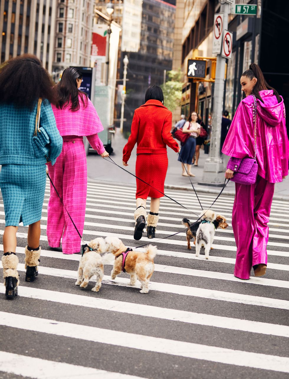 Pink, Photograph, People, Street fashion, Snapshot, Dog walking, Pedestrian, Yellow, Street, Fashion, 