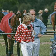 princess diana stands by a horse, wearing a sheep sweater