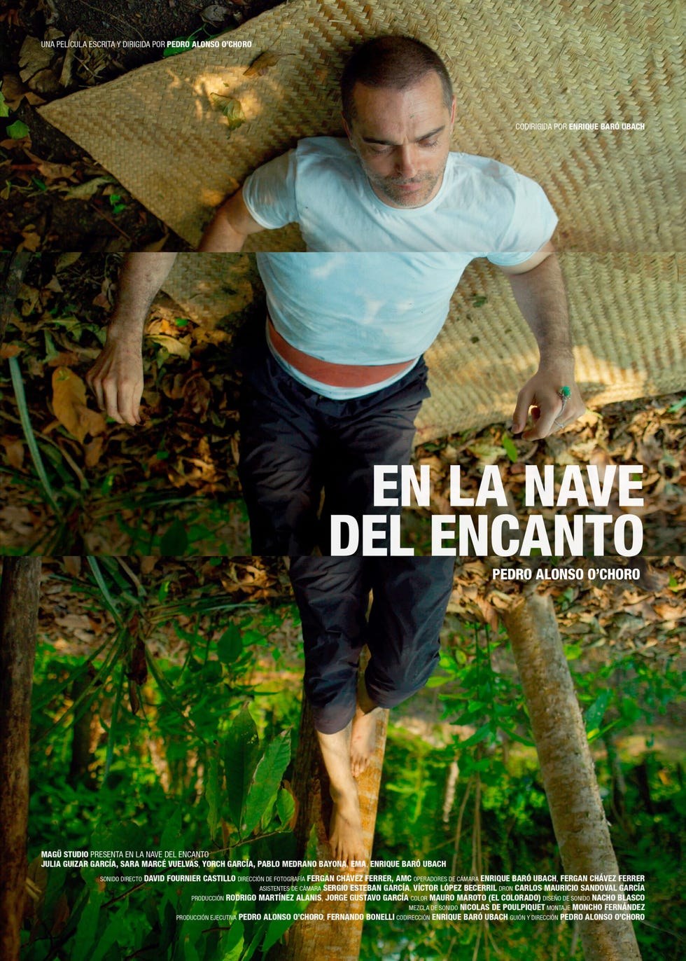 en la nave del encanto pedro alonso