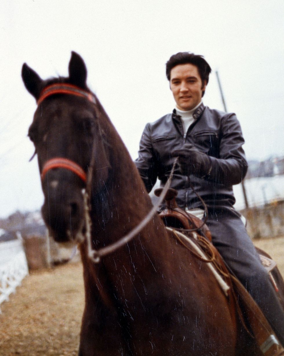 elvis presley holding the reins while riding one of his horses