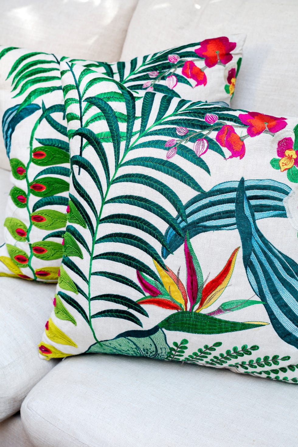 bright cushions