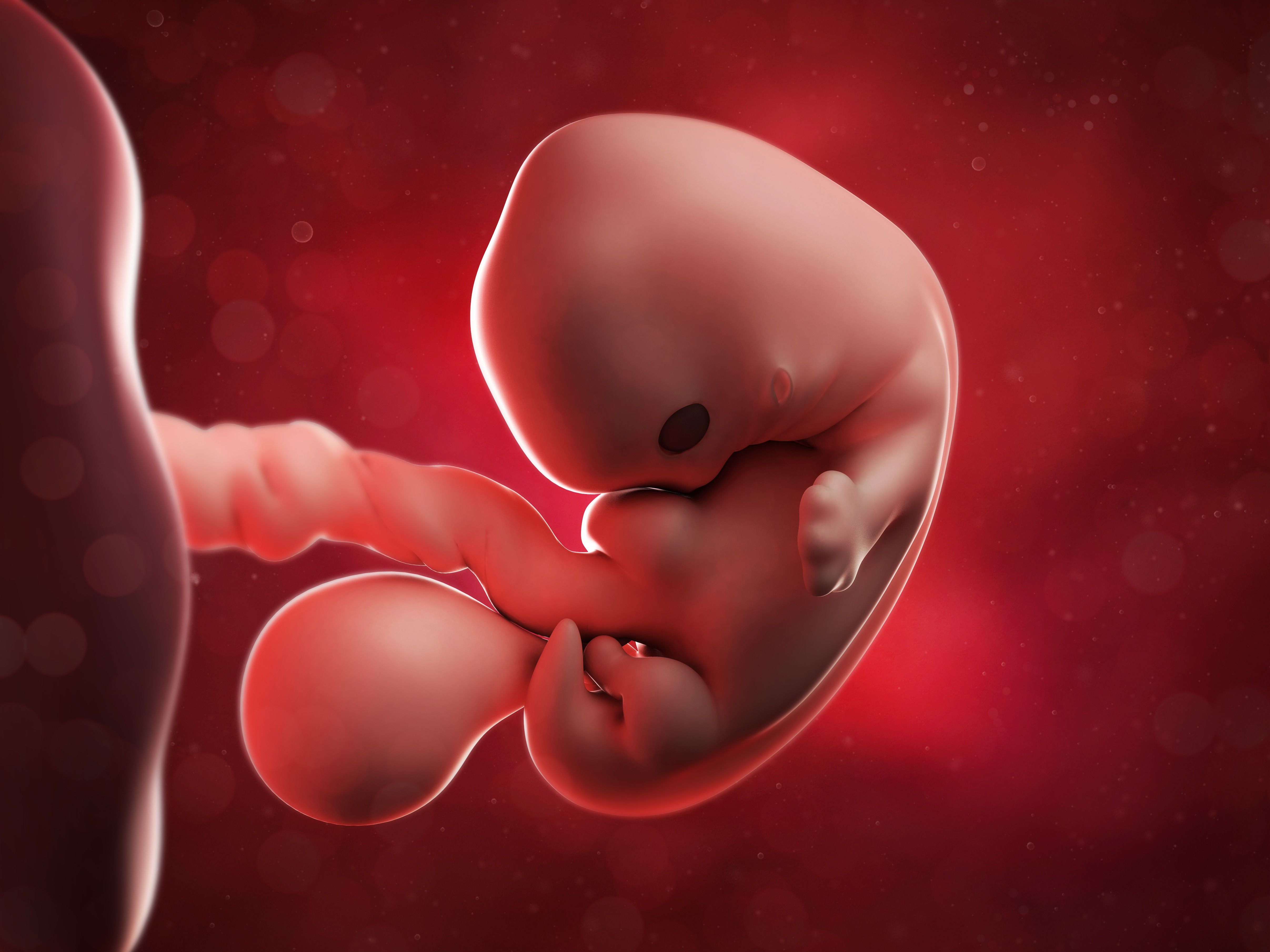 Tercer mes de embarazo: Síntomas y desarrollo de tu guagua