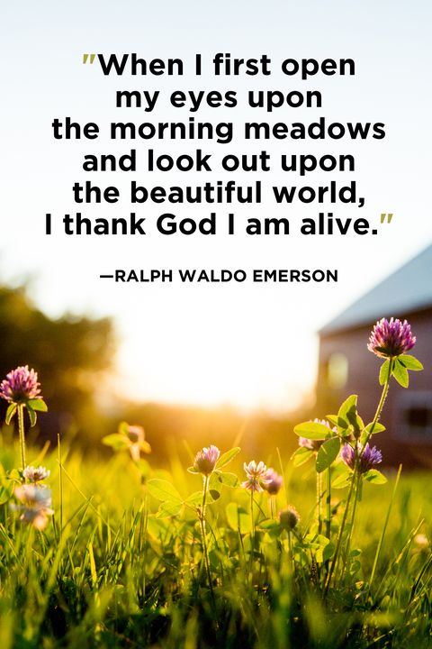 40 Best Good Morning Quotes - Good Morning Quotes For Her