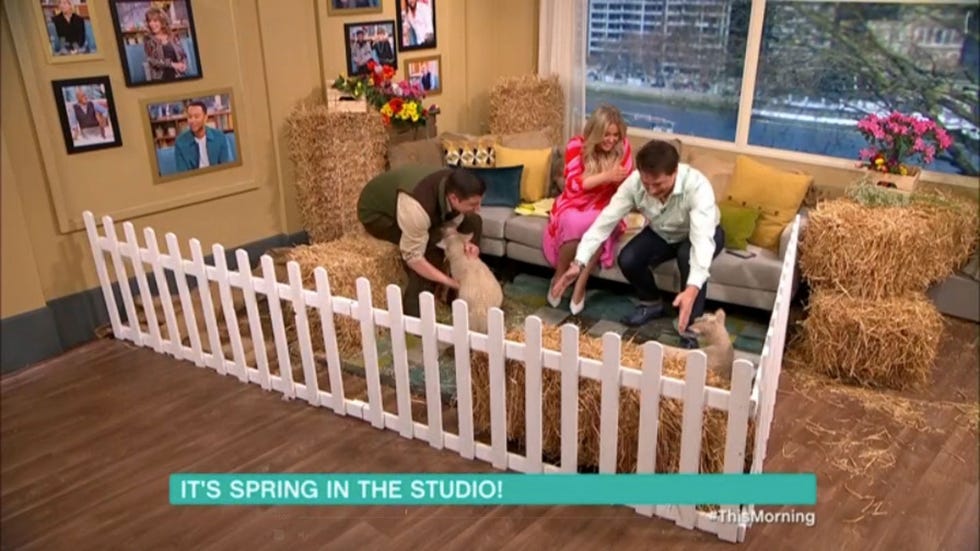 Emily Atack drops a lamb on This Morning