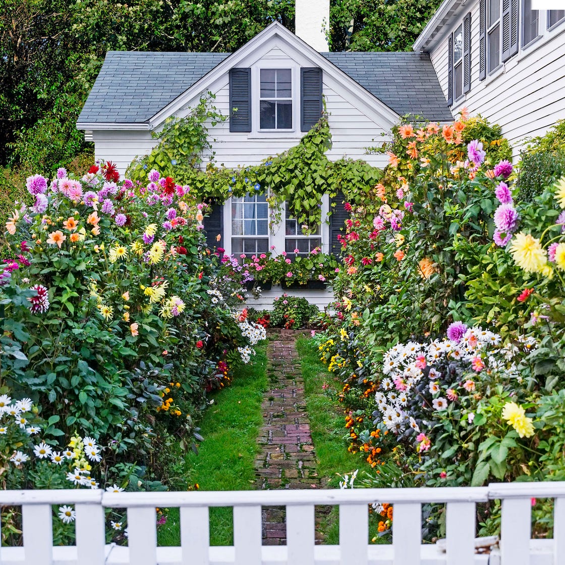 Cottage Garden Cottage Garden