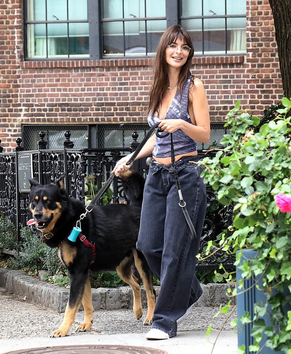 Emily Ratajkowski goes braless in a low-cut top to walk her dog