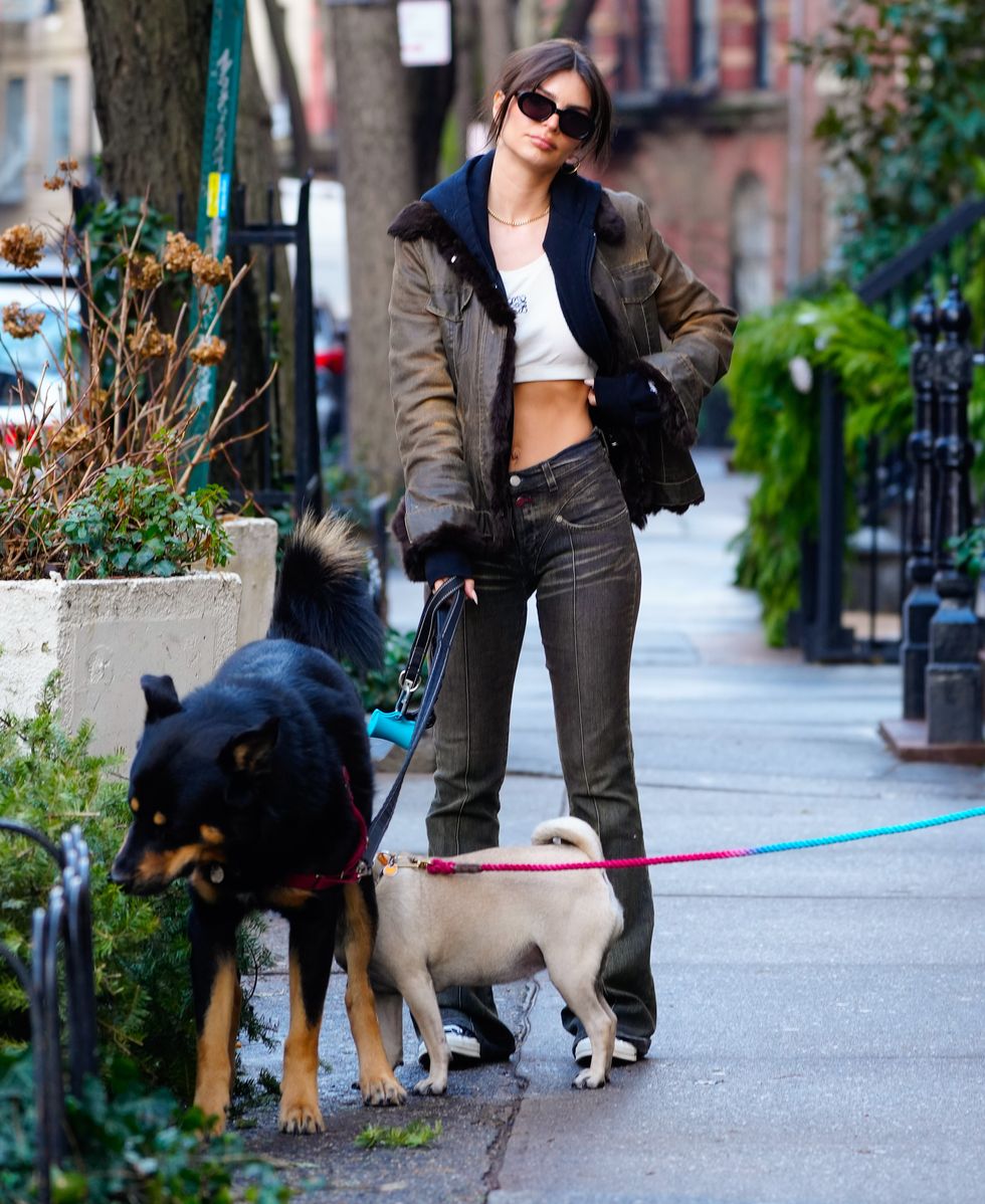 Emily Ratajkowski Walked Her Dog in a Two-Tone Blazer and a Sports