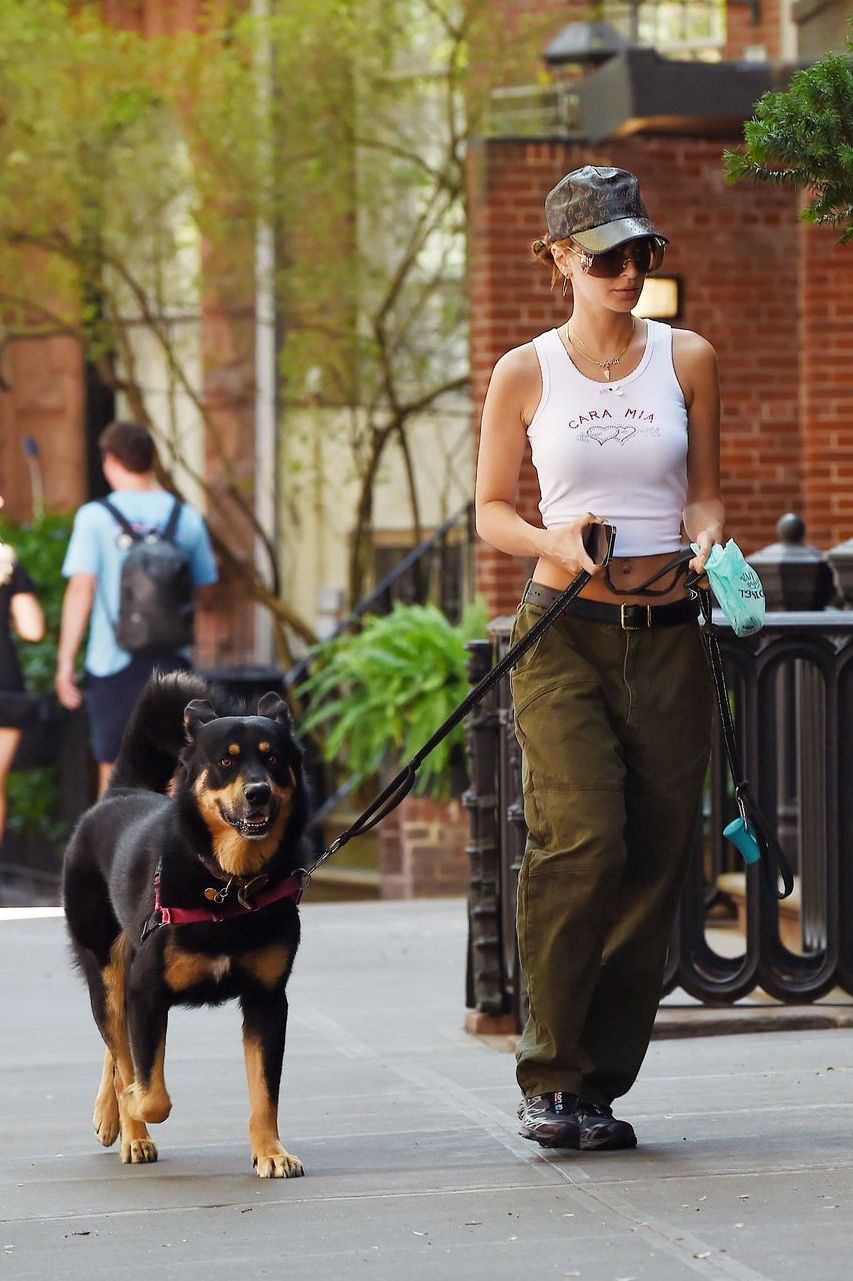 a man walking a dog