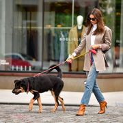 emily ratajkowski walks with her dog in new york cityto illustrate the best pet gifts of 2021