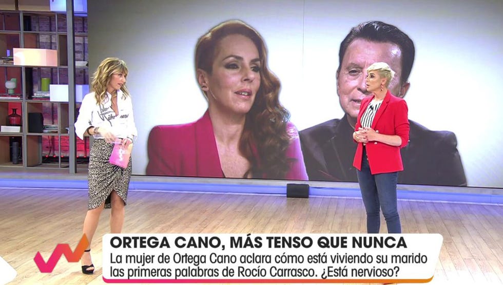 ana maría aldón
