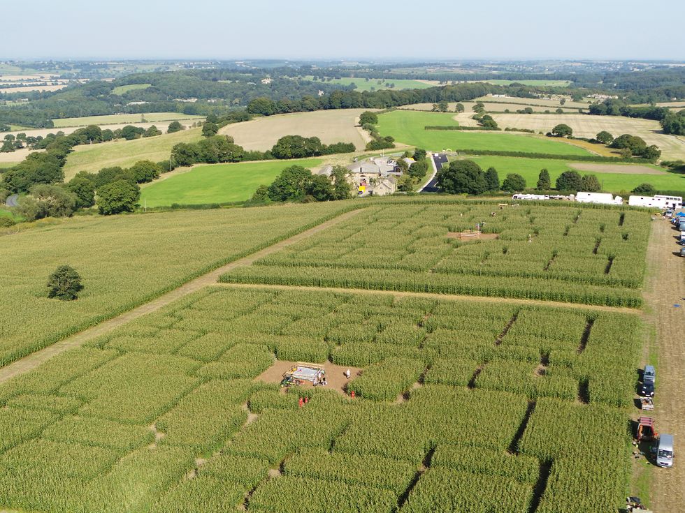 behind the scenes at emmerdale's maize maze