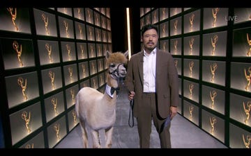 la alpaca de los emmys