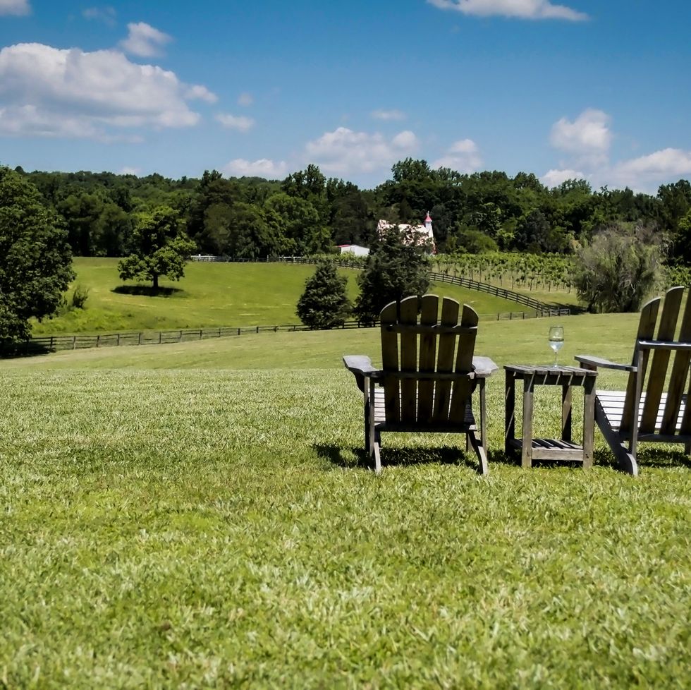empty chairs on grassy land against sky