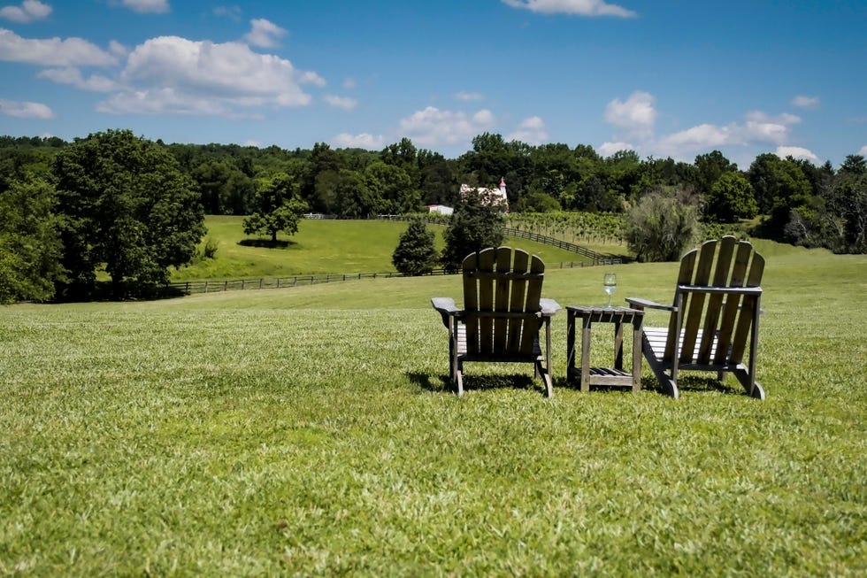 empty chairs on grassy land against sky