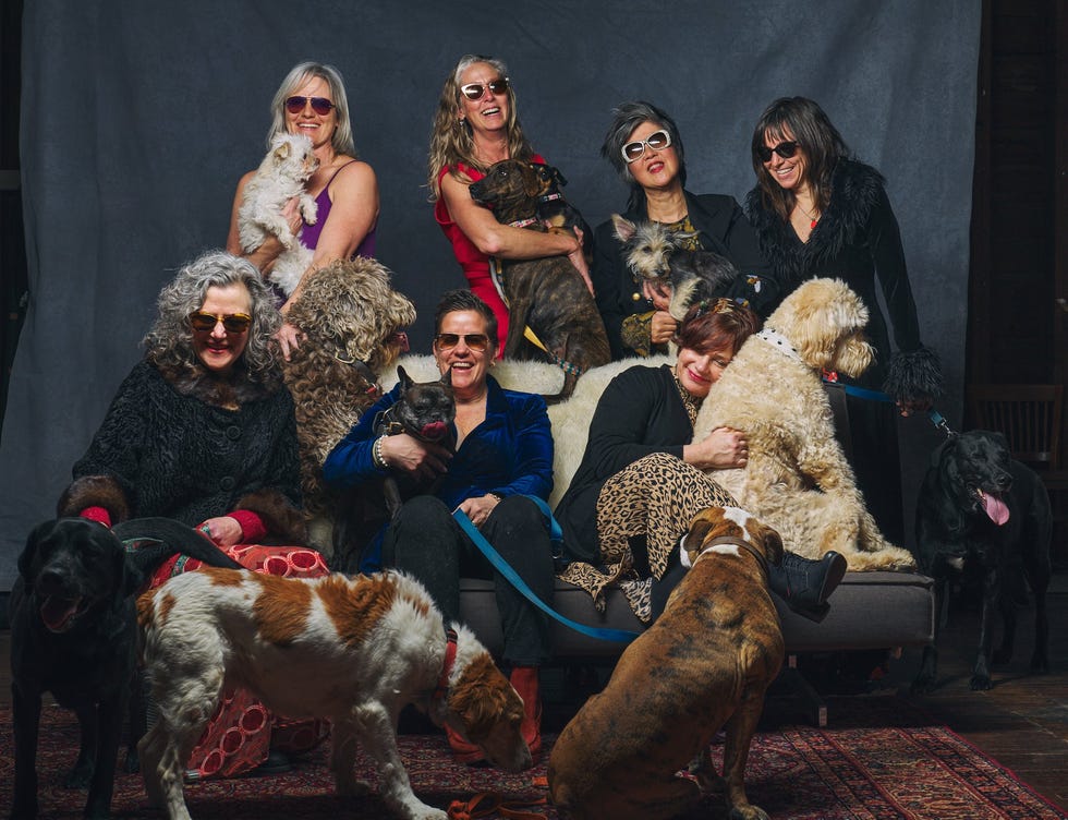 a group of women with dogs