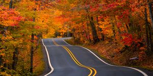 empty road amidst trees during autumn,copper harbor,michigan,united states,usa