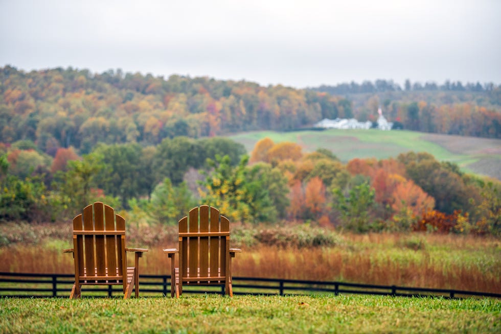 best places to see fall foliage charlottesville virginia