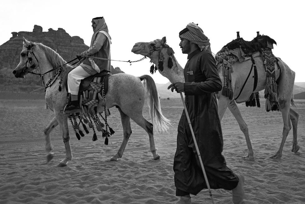 a person walking with a group of camels